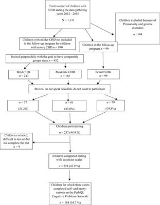 Do Self- and Proxy Reports of Cognitive Problems Reflect Intellectual Functioning in Children and Adolescents with Congenital Heart Defects?